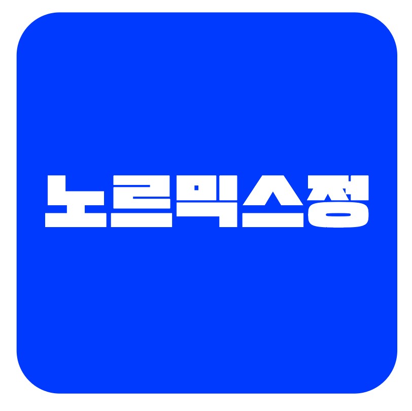 노르믹스정