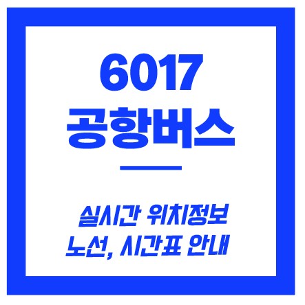 6017 공항버스