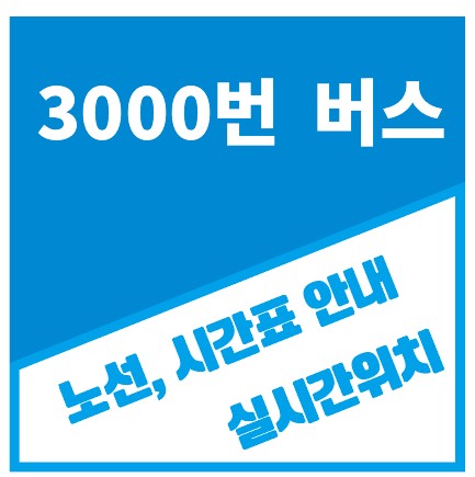 3000번버스