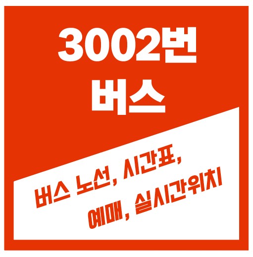 3002번 버스