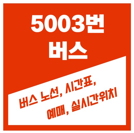 5003번 버스