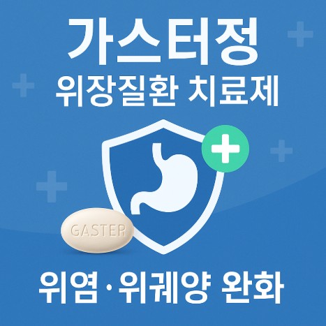 가스터정