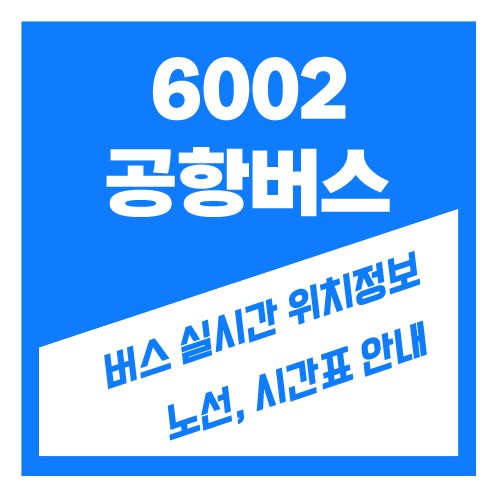 6002번공항버스