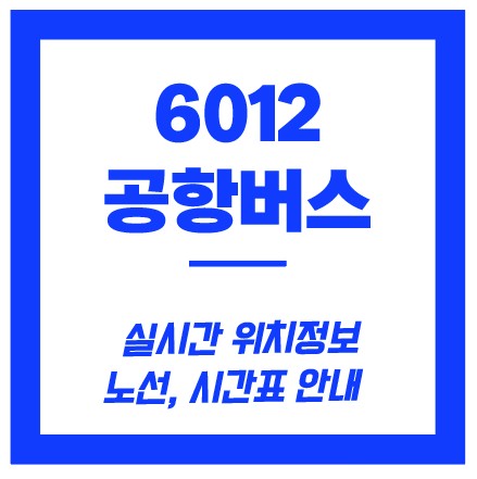 6012 공항버스